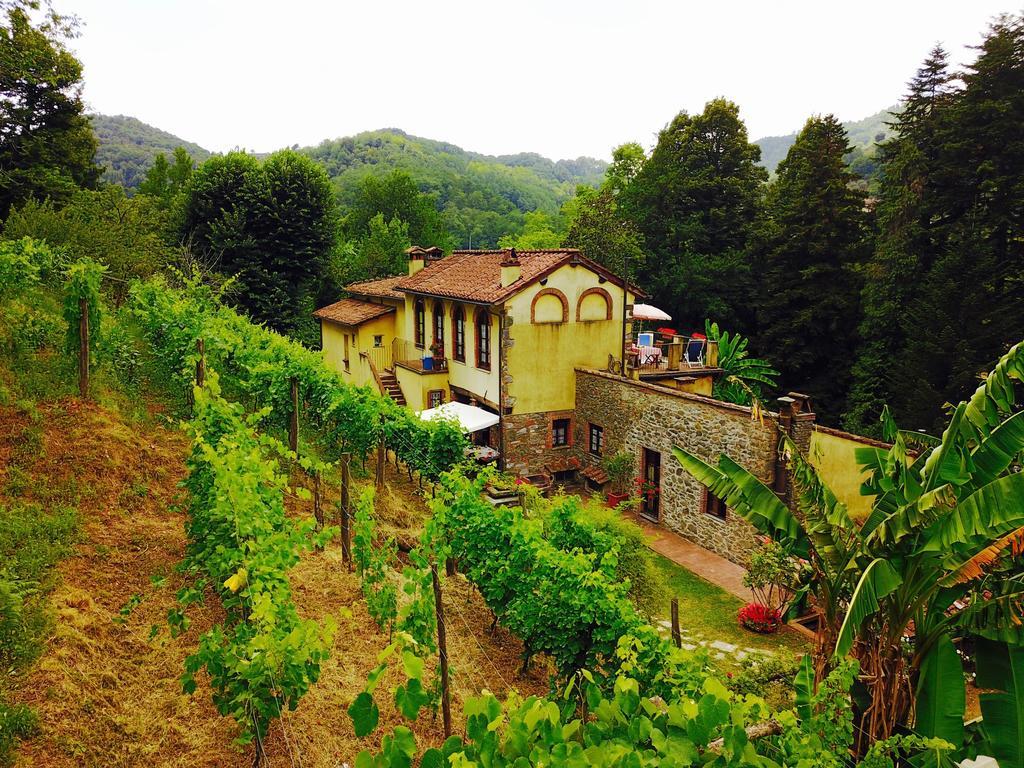 루카 A Casa Del Tosi 빌라 외부 사진