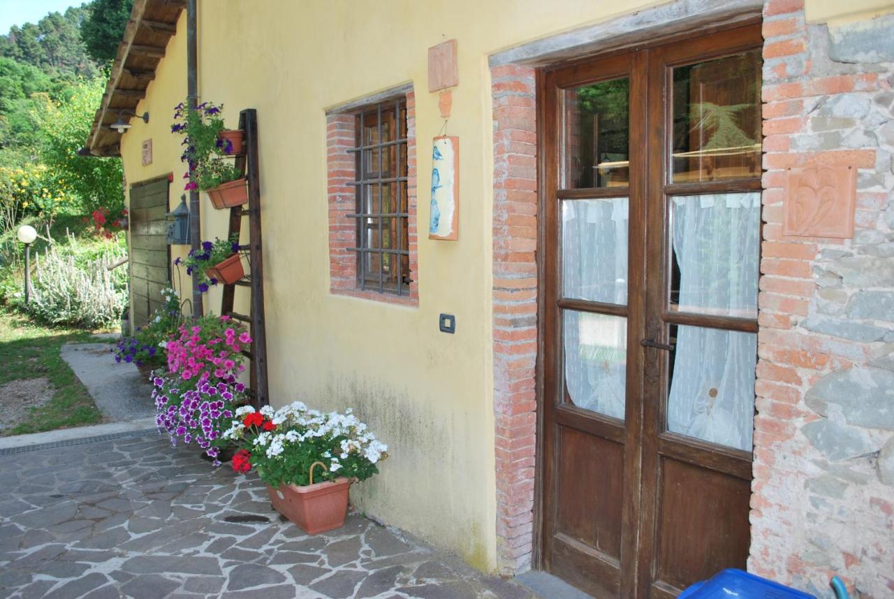 루카 A Casa Del Tosi 빌라 외부 사진