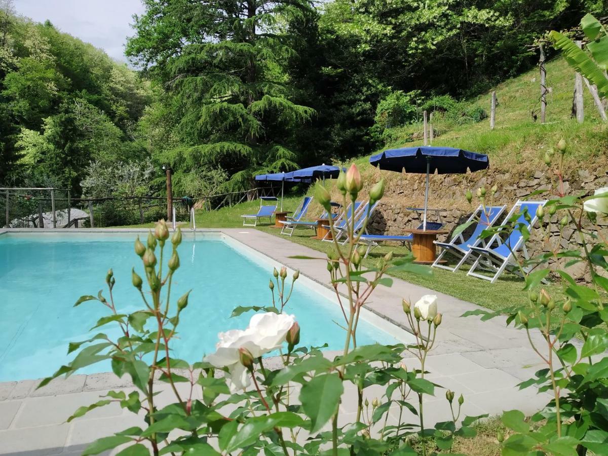 루카 A Casa Del Tosi 빌라 외부 사진