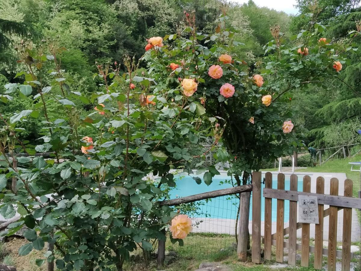 루카 A Casa Del Tosi 빌라 외부 사진